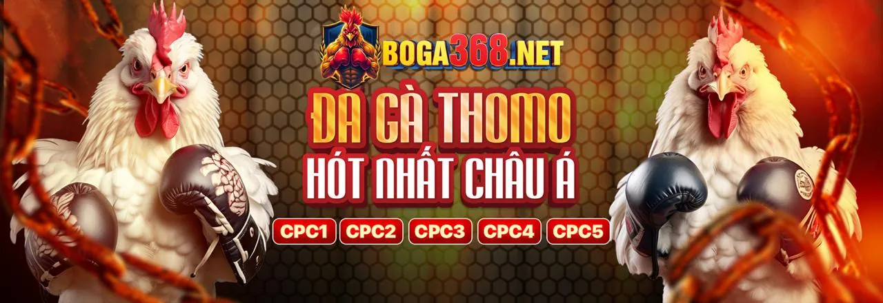 Đa dạng các môn thể thao cá cược tại Queen99