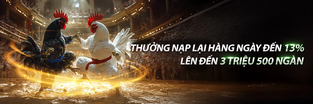 Đá Gà Trực Tuyến Queen99 - Sân đấu kịch tính